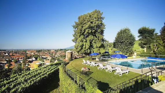 Château d'Isenbourg | Grand Est - Haut-Rhin (bölge) - Rouffach