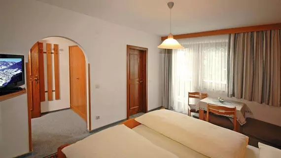 Pension Riedlsperger | Salzburg (eyalet) - Zell am See - Saalbach-Hinterglemm