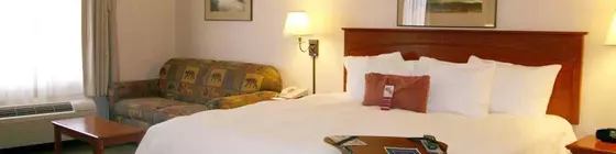 Hampton Inn & Suites Los Alamos | New Mexico - Santa Fe (ve civarı) - Los Alamos - White Rock