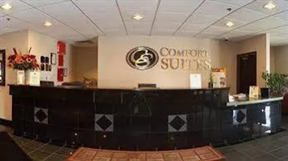 Comfort Suites Wixom / Novi | Michigan - Detroit (ve civarı) - Wixom