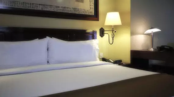 Holiday Inn Hotel & Suites Mexico Zona Rosa | Mexico City (ve civarı) - Meksiko - Cuauhtemoc