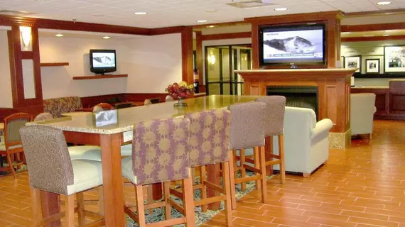 Hampton Inn Detroit/Belleville-Airport Area | Michigan - Detroit (ve civarı) - Belleville