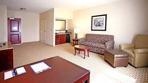 Hilton Garden Inn Cincinnati Blue Ash | Ohio - Cincinnati (ve civarı) - Cincinnati - Blue Ash