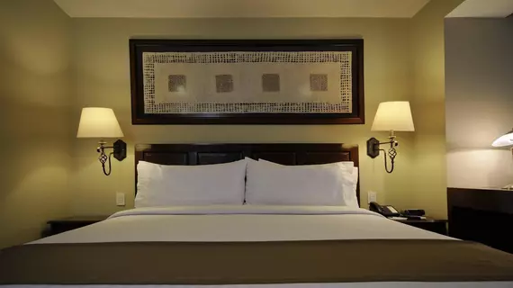 Holiday Inn Hotel & Suites Mexico Zona Rosa | Mexico City (ve civarı) - Meksiko - Cuauhtemoc