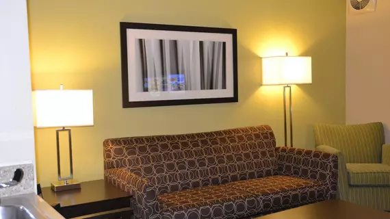 Holiday Inn Express Hotel & Suites Bloomington-Normal University Area | İllinois - Bloomington (ve civarı) - Normal