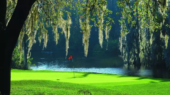 Innisbrook - A Salamander Golf and Spa Resort | Florida - St. Petersburg - Clearwater (ve civarı) - Palm Harbor