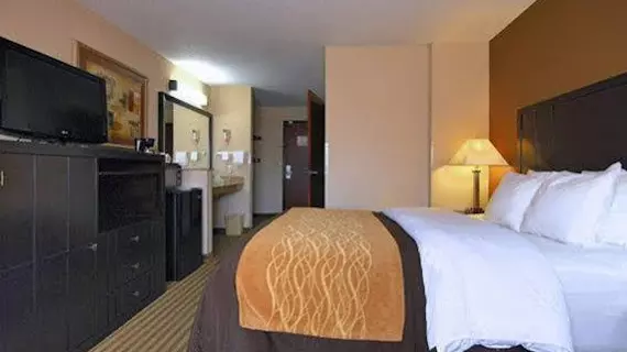 Comfort Inn Portland | Oregon - Portland (ve civarı) - Portland