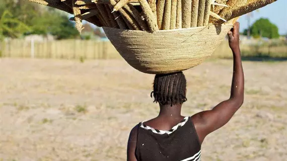 Ongula Village Homestead Lodge | Ohangwena - Ondangwa