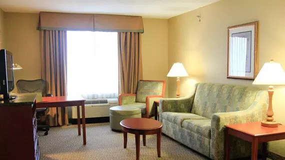 Hilton Garden Inn Savannah Airport | Georgia - Savannah (ve civarı) - Savana