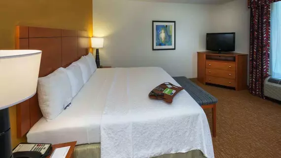 Hampton Inn & Suites Mobile I-65@ Airport Boulevard | Alabama - Mobile (ve civarı) - Mobile