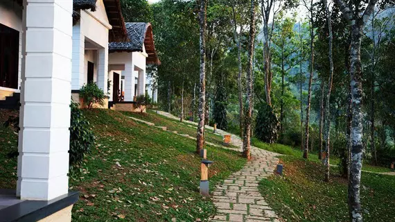 Niraamaya Cardamom Club | Kerala - Idukki Bölgesi - Thekkady