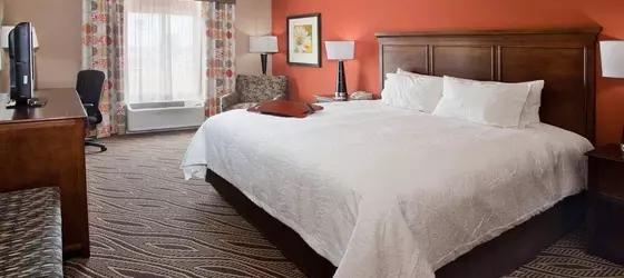 Hampton Inn Blytheville | Arkansas - Blytheville (ve civarı) - Blytheville