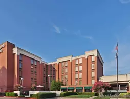 Hampton Inn Plano-North Dallas | Teksas - Dallas (ve civarı) - Plano - Shepton