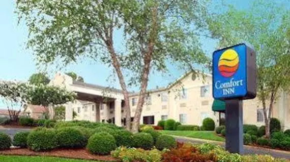 Comfort Inn Ruston | Louisiana - Ruston (ve civarı) - Ruston