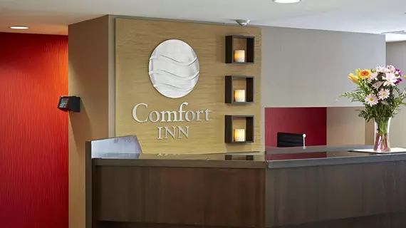 Comfort Inn Laval | Quebec - Montreal (ve civarı) - Laval