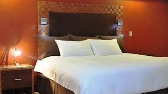 Hotel Presidente | Alajuela (ili) - San Jose (ve civarı) - San Jose