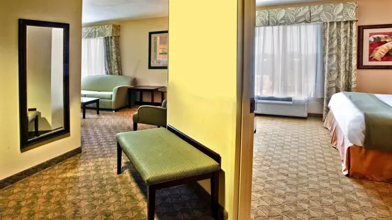 Holiday Inn Express Hotel & Suites Tampa -USF-Busch Gardens | Florida - Tampa (ve civarı) - Tampa