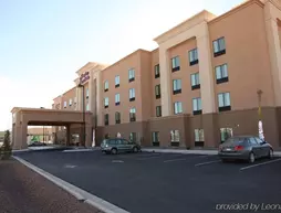 Hampton Inn & Suites Carlsbad | New Mexico - Carlsbad (ve civarı) - Carlsbad