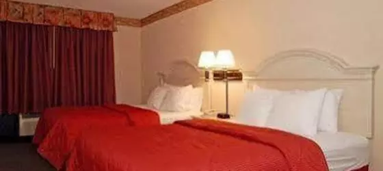 Comfort Inn & Suites Berea | Kentucky - Lexington (ve civarı) - Berea