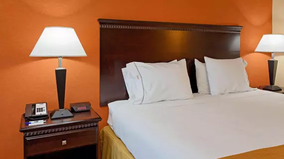 Holiday Inn Express Hotel & Suites Talladega | Alabama - Oxford (ve civarı) - Talladega