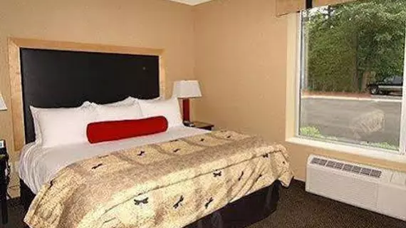 Cambria Suites Traverse City | Michigan - Leelandau County - Traverse City (ve civarı) - Traverse City