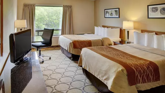 Comfort Inn Newmarket | Ontario - Toronto (ve civarı) - Newmarket