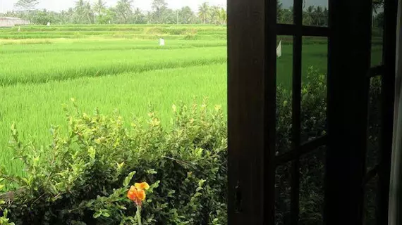 Terang Bulan Cottages | Bali - Ubud - Peliatan