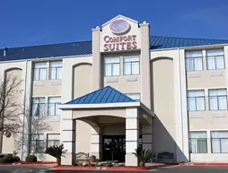 COMFORT SUITES SOUTH | Teksas - Austin (ve civarı) - Austin - Franklin Parkı