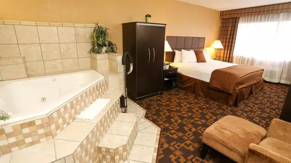 Quality Inn and Suites Denver Stapleton | Kolorado - Denver (ve civarı) - Denver - Northeast Park Hill