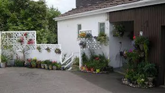 Guesthouse Topos | Cornwall (kontluk) - St Austell