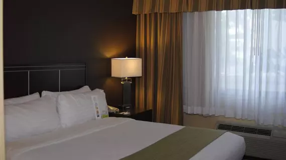 Holiday Inn Hotel & Suites Anaheim | Kaliforniya - Orange County - Anaheim - Anaheim Resort