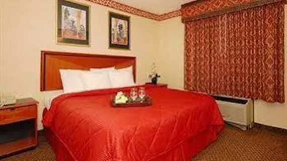 Comfort Inn & Suites Airport South | Georgia - Atlanta (ve civarı) - College Park