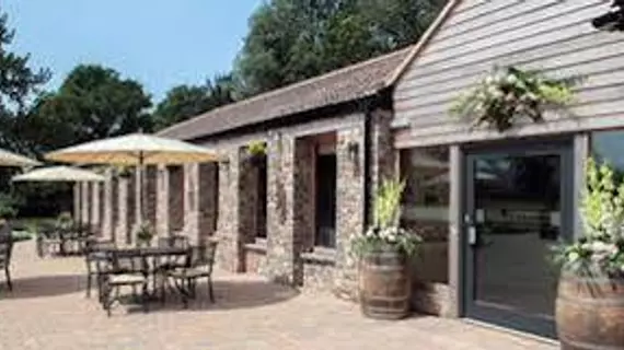 Aldwick Court Farm & Vineyard | Bristol (ve civarı) - North Somerset - Bristol