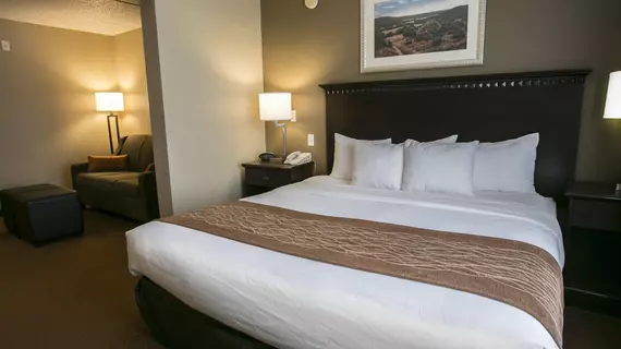 Comfort Suites Austin Airport | Teksas - Austin (ve civarı) - Austin