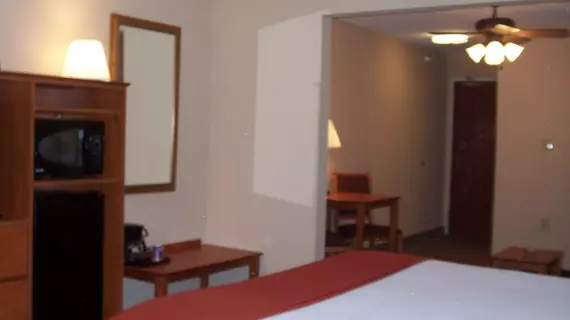 Holiday Inn Express Gas City | Indiana - Marion (ve civarı) - Gas City