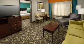 Holiday Inn Express Hotel and Suites DFW-Grapevine | Teksas - Dallas (ve civarı) - Grapevine