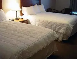 Quality Inn & Suites Lethbridge | Alberta - Lethbridge (ve civarı) - Lethbridge