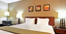 Holiday Inn Express Rolling Meadows-Schaumburg Area | İllinois - Rolling Meadows