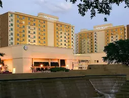 Sheraton Fort Worth Hotel and Spa | Teksas - Fort Worth (ve civarı) - Fort Worth - Downtown Fort Worth