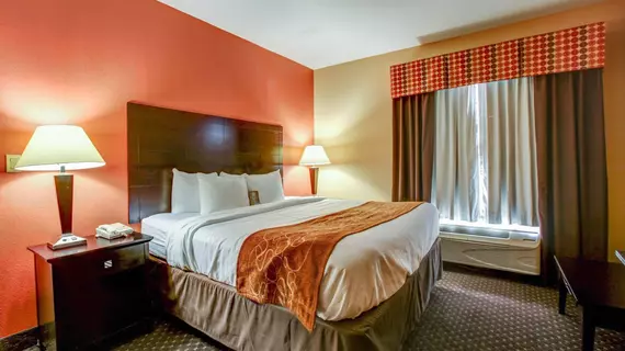 Comfort Suites At Rivergate Mall | Tennessee - Nashville-Davidson - Nashville (ve civarı) - Goodlettsville