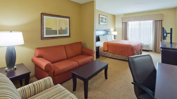 Country Inn & Suites Homewood | Alabama - Birmingham (ve civarı) - Homewood