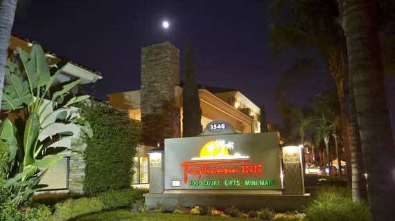 Tropicana Inn & Suites | Kaliforniya - Orange County - Anaheim - Anaheim Resort