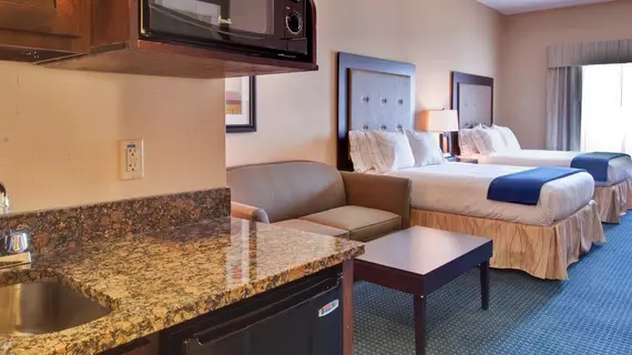 Holiday Inn Express Hotel & Suites - Novi | Michigan - Detroit (ve civarı) - Novi