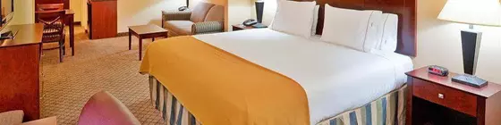 Holiday Inn Express Hotel & Suites Millington-Memphis Area | Tennessee - Memphis (ve civarı) - Millington