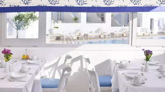 Petinos Beach Hotel | Ege Adaları - Mikonos