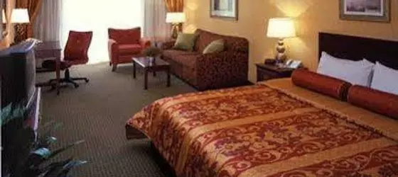 University Plaza Hotel | Missouri - Springfield (ve civarı) - Springfield