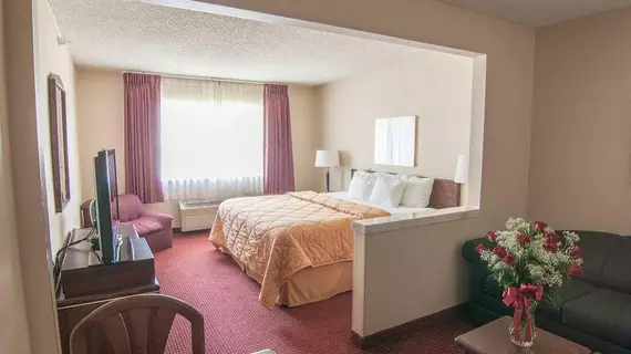 Comfort Inn Lacey | Washington - Olympia (ve civarı) - Lacey