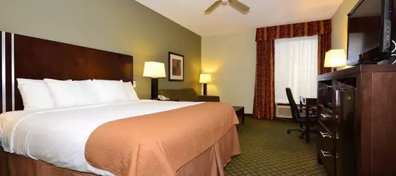 Best Western Plus Houma Inn | Louisiana - Houma (ve civarı) - Gray