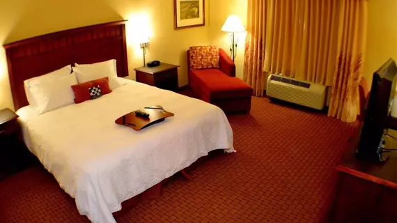 Hampton Inn & Suites Green River | Wyoming - Rock Springs (ve civarı) - Green River