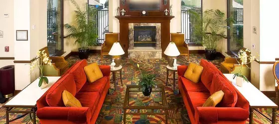 Hilton Garden Inn Atlanta Northwest/Wildwood | Georgia - Atlanta (ve civarı) - Atlanta